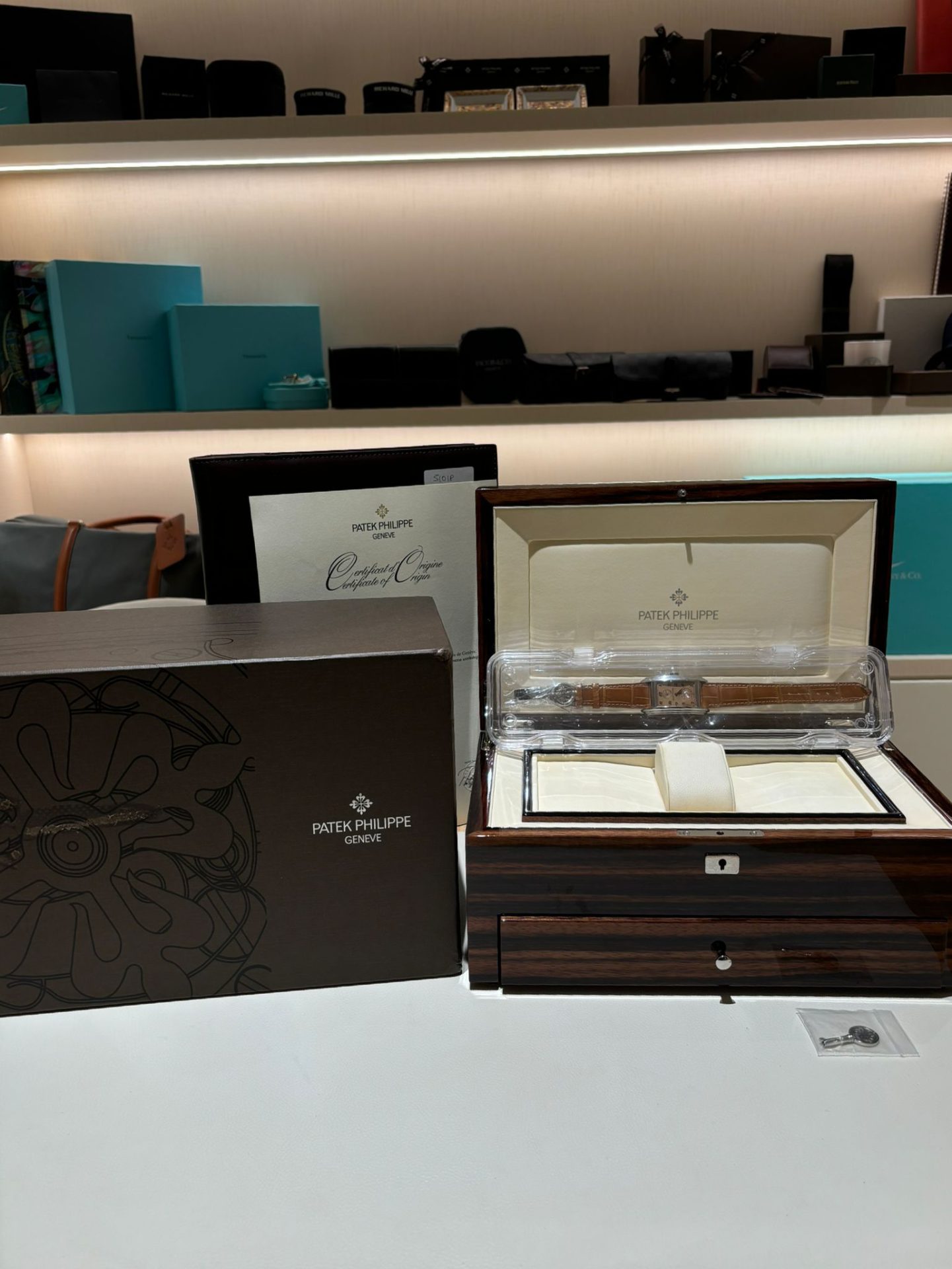 Patek Philippe 29.6 x 51.7 x 12.2mm Concealed 10-Day Tourbillon "Salmon Dial" Platinum - Image 2
